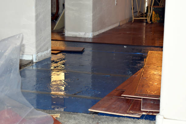 Professional Burst Pipe Water Damage technician working in Woods Hole, MA